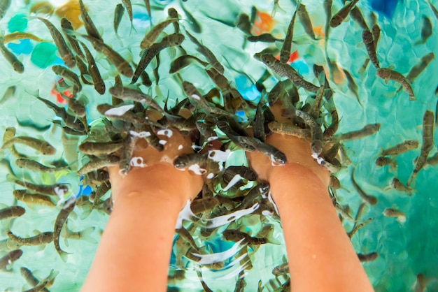 Foto tratamento de massagem spa de peixe garra rufa