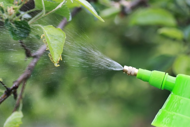 Tratamento de plantas de insetos nocivos na fazenda