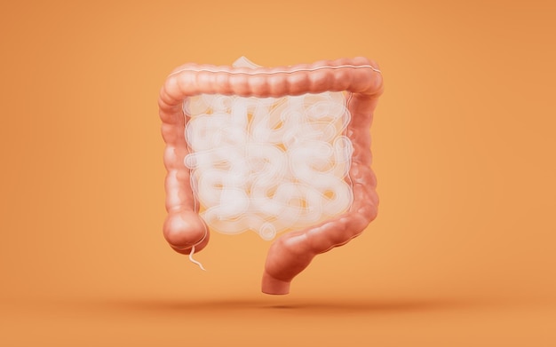 Trato intestinal com conceito de saúde digestiva renderização em 3d