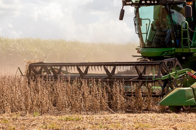 Trator agrícola colhendo soja no campo