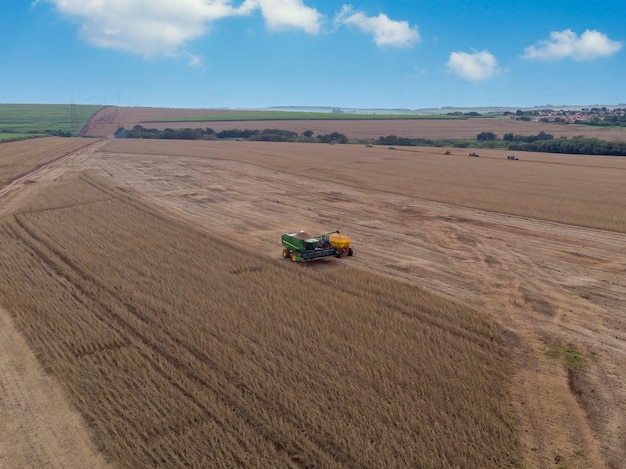 Trator agrícola colhendo soja no campo.