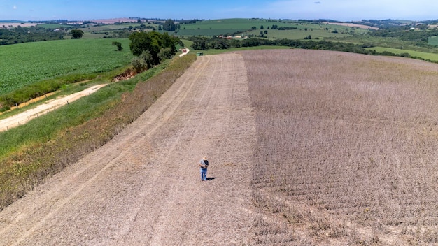 Trator colhendo soja em uma fazenda no Brasil