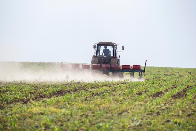 Foto trator coloca em um campo de milho no verão