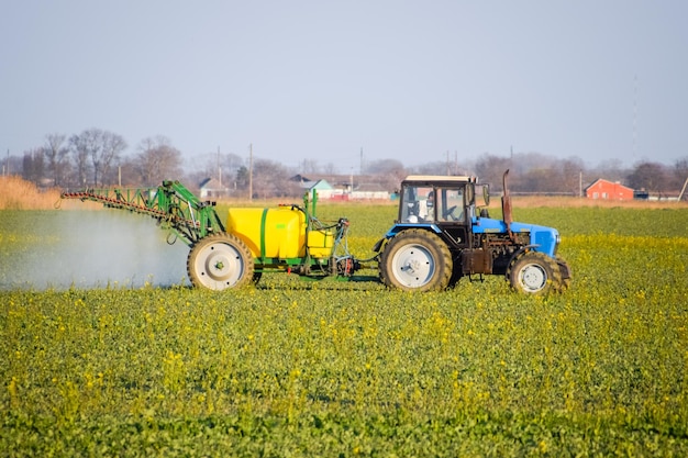 Foto trator fertiliza um campo de canola pulverizando fertilizante com um trator