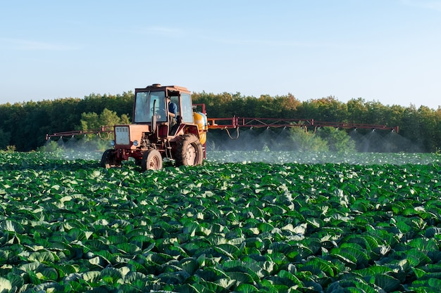 Trator pulveriza produtos químicos e pesticidas em um campo de fazendas com vegetais