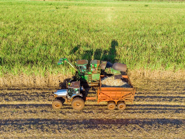 Tratores agrícolas trabalhando na vista aérea da plantação da colheita da cana-de-açúcar.