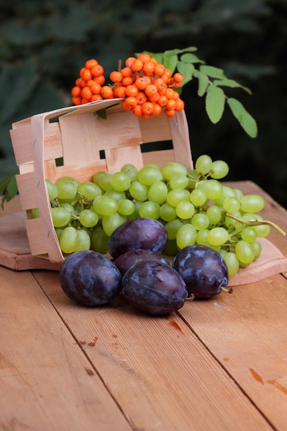 Trauben, Pflaumen und Ebereschen in einem Korb auf verschwommenem Hintergrund Gruppe gesunder bunter Herbstfrüchte in einem Holzkorb auf einem Holztisch