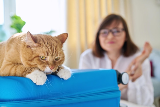 Traurige Ingwerkatze liegt auf dem Koffer ihrer Besitzerin mittleren Alters