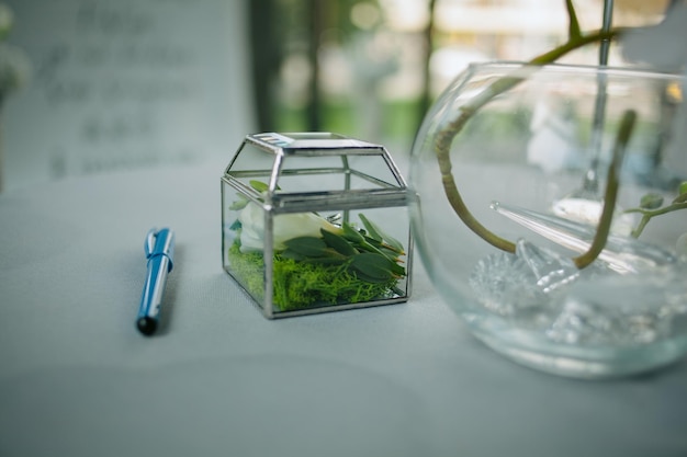 Trauringe auf grüner Blume in Glasringbox auf dem weißen Tisch. Hochzeitskonzept im Grünen