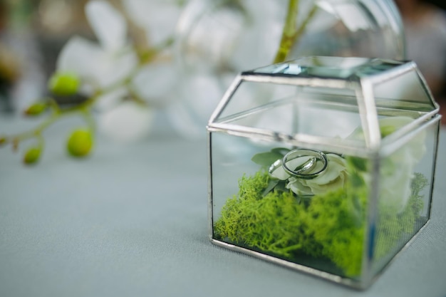 Trauringe auf grüner Blume in Glasringbox auf dem weißen Tisch. Hochzeitskonzept im Grünen