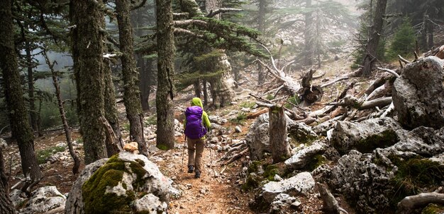 Travel Trekking Trail in den Bergen im Herbst