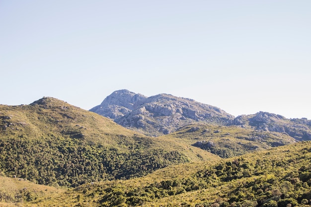 Foto a través de los senderos de itatiaia.