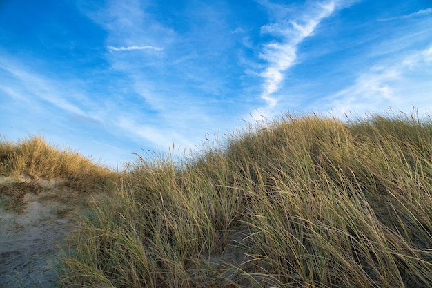 Travessia de praia na Dinamarca à beira-mar Dunas, areia, água e nuvens na costa