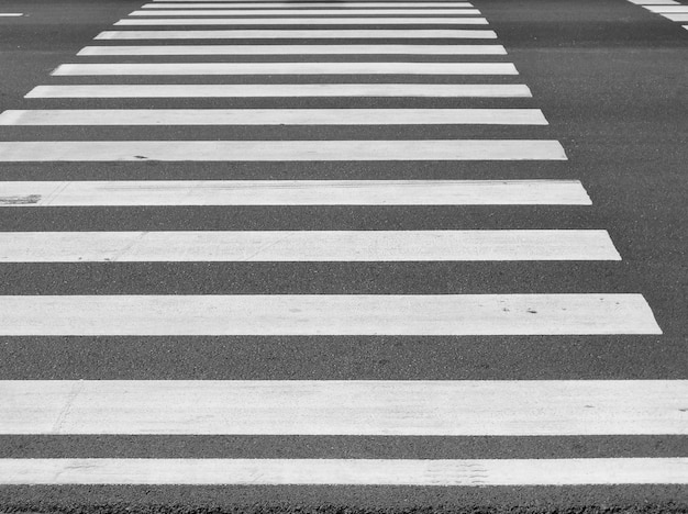 Foto travessia de zebras na estrada