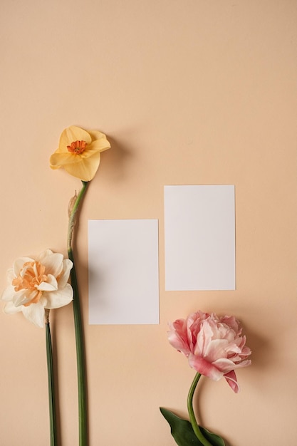 Trazado de recorte en blanco tarjetas de hoja de papel en mesa de jengibre neutral Espacio de trabajo de escritorio de oficina en casa de artista estético con narcisos y flores de rosa Maqueta de vista superior endecha plana con espacio de copia vacío