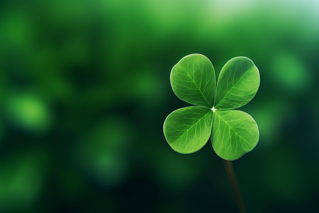 Un trébol de cuatro hojas sobre un fondo verde