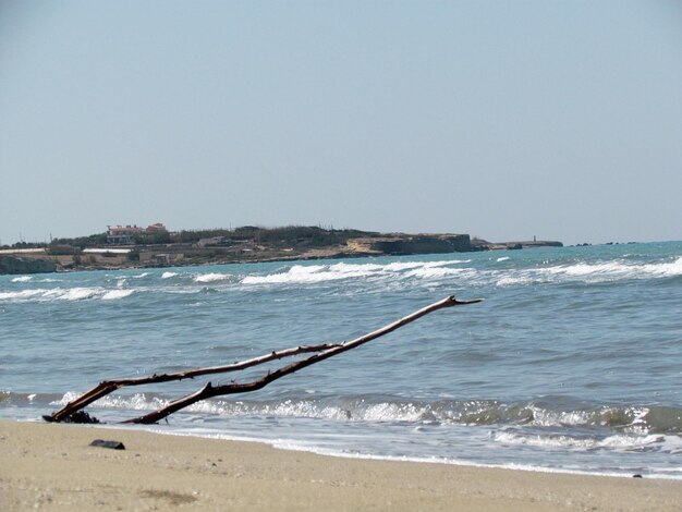 Treibholz am Strand vor klarem Himmel