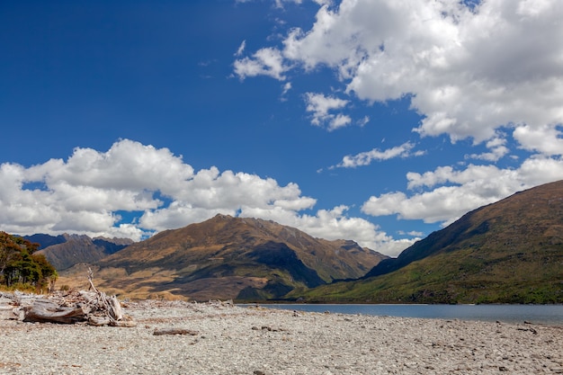 Treibholz am Ufer des Lake Wanaka