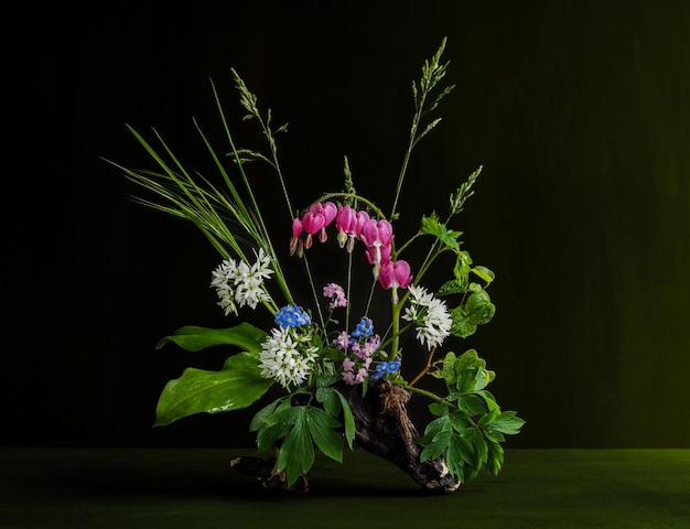 Treibholz mit Blüten und Blättern auf grünem Hintergrund Dicentra Allium ursinum