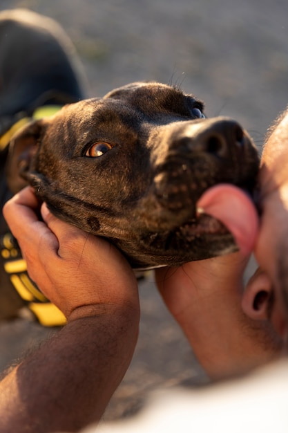 Treinador de cães amando seu cachorro ao ar livre durante uma sessão de treinamento