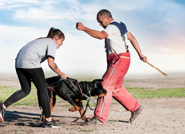 Treinamento de rottweiler