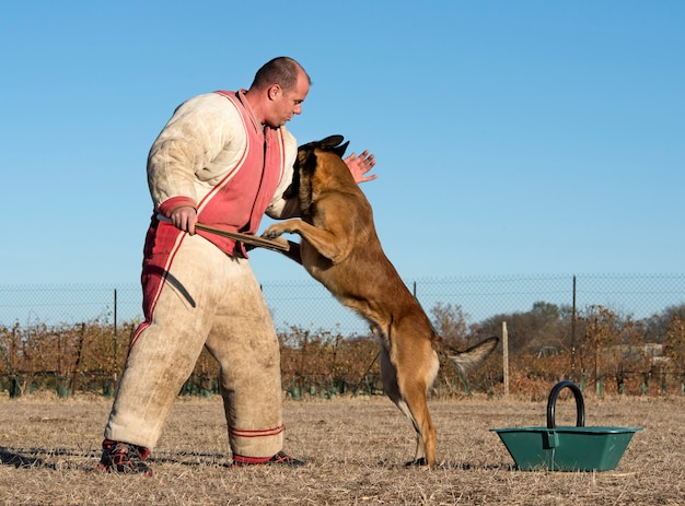 treinamento de um cão policial