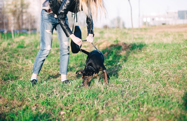 Treinamento de um jovem cachorro preto na natureza.