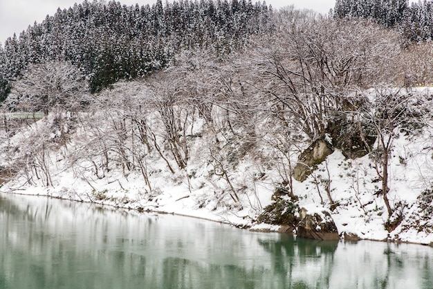 Treinar na neve da paisagem do inverno