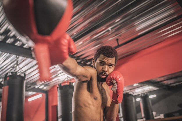 Treino. kickboxer afro-americano se exercitando em uma academia e parecendo concentrado