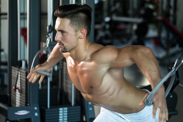 Treino muscular em ginásio