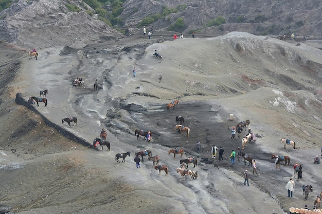 Trekkers no monte bromo na indonésia