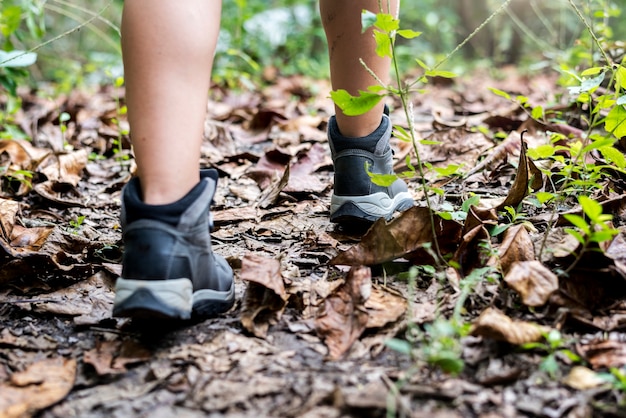 Trekking en un bosque