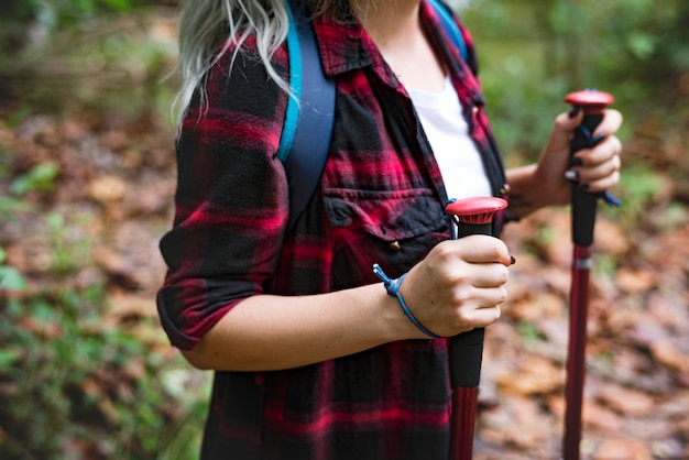 Trekking en un bosque