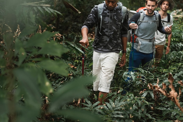 Foto trekking en un bosque