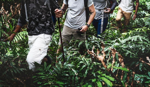 Trekking en un bosque