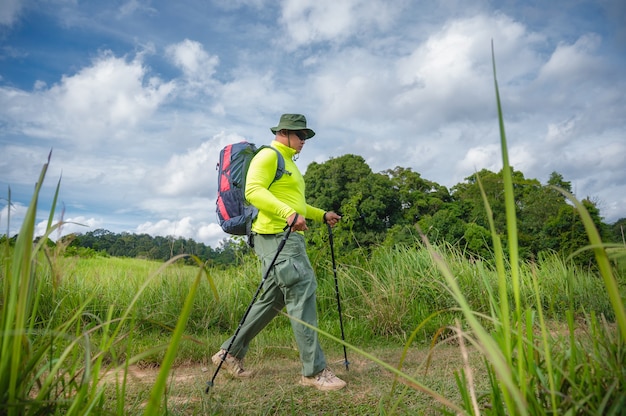 Trekking de mochileiros para estudar a natureza da floresta tropical para ecoturismo. Caminhada turística para ver a beleza da floresta tropical no Parque Nacional Khao Yai. Área do Patrimônio Mundial da UNESCO, Tailândia Invisível.