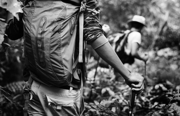 Trekking em uma floresta