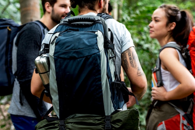 Trekking em uma floresta