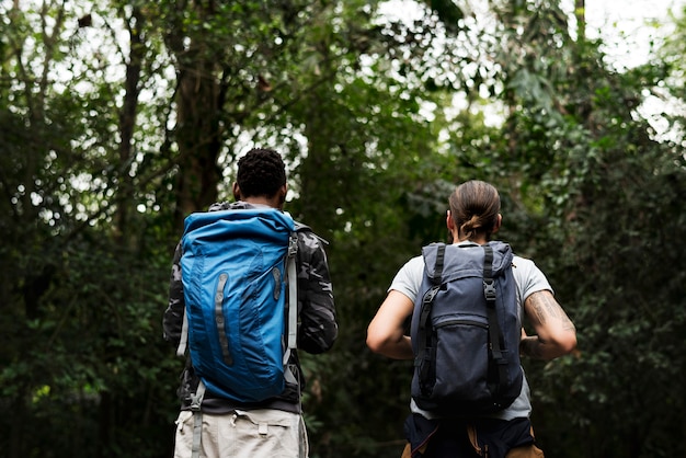 Trekking em uma floresta