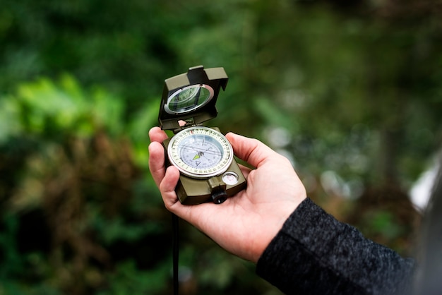 Trekking em uma floresta