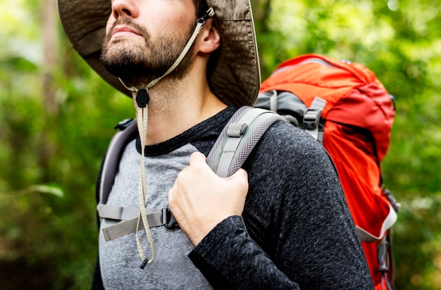 Trekking im Wald