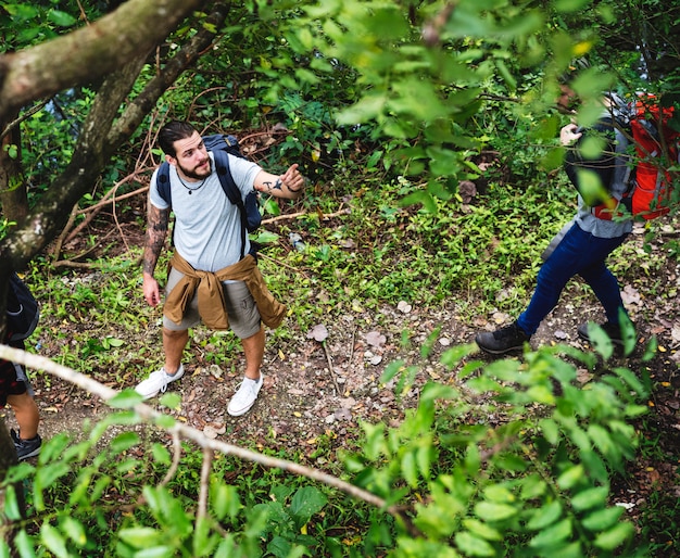 Trekking im Wald