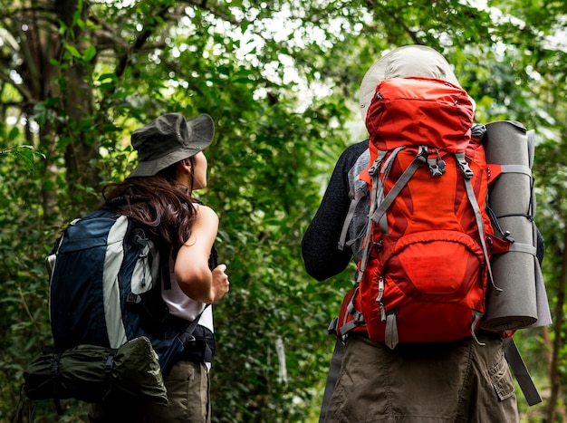 Trekking in einem Wald