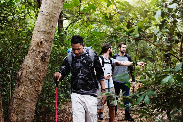 Trekking in einem Wald