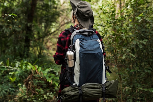 Trekking in einem Wald