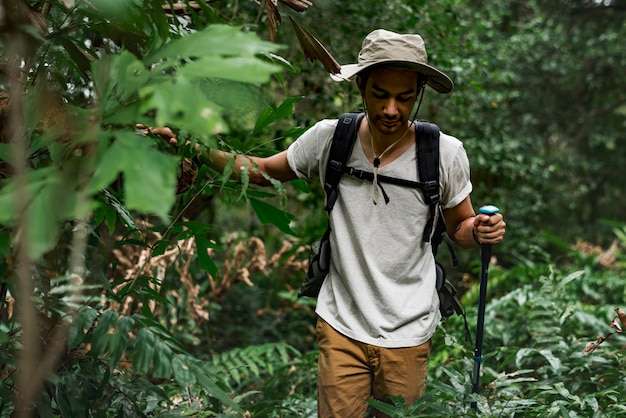 Trekking in einem Wald