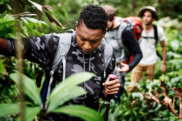 Trekking in einem Wald