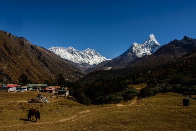 Trekking in Nepal, Himalaya