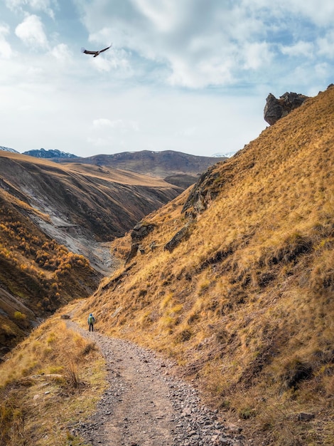 Trekking en la montaña del Cáucaso El hombre con una mochila está escalando fuertemente en un sendero de montaña Concepto de estilo de vida de viaje en solitario de aventura Vacaciones de fin de semana activas en la naturaleza salvaje