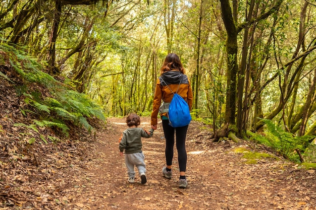 Trekking por Las Creces na trilha na floresta de musgo do Parque Nacional Garajonay La Gomera Ilhas Canárias